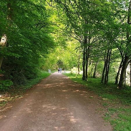 Ferienwohnung Am Saarweg Мерциг Екстериор снимка
