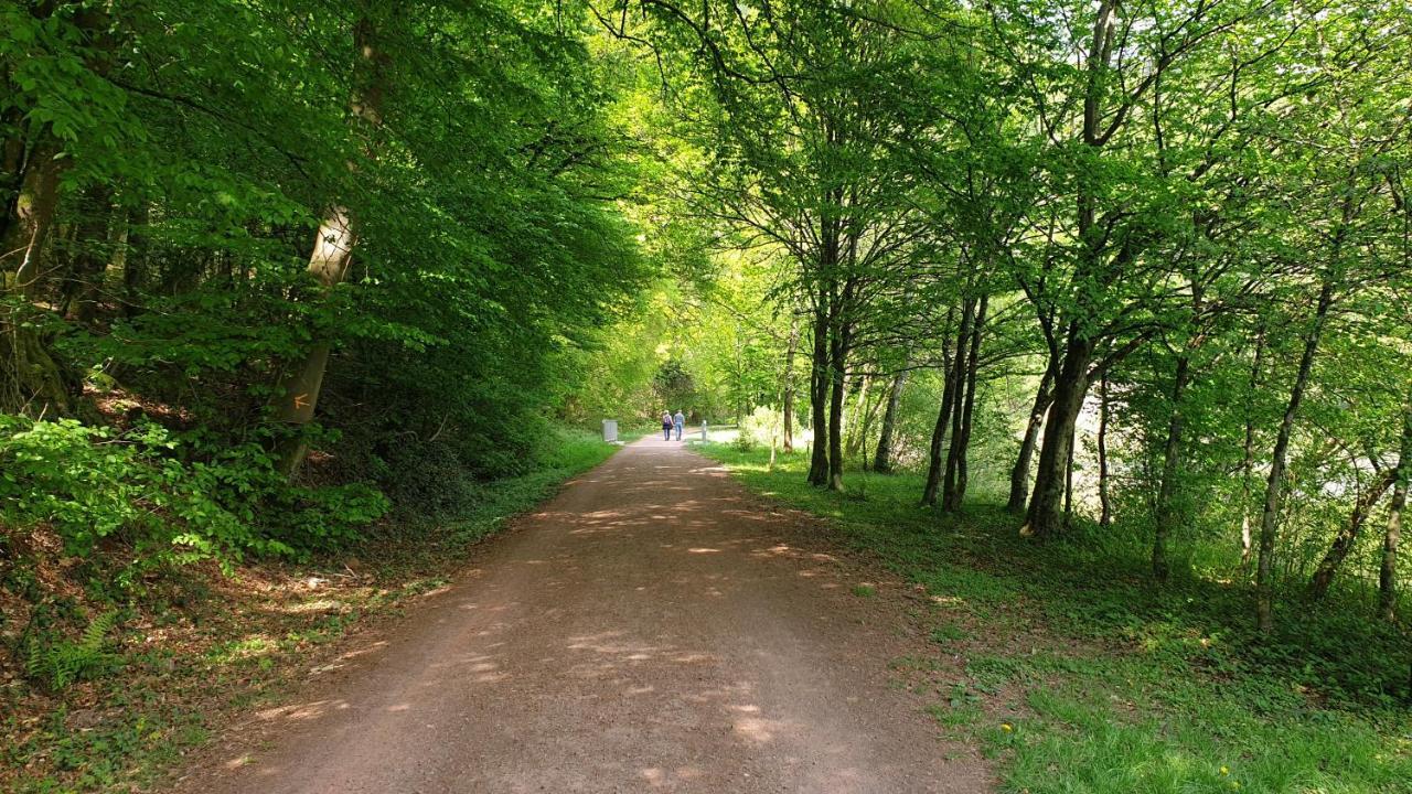 Ferienwohnung Am Saarweg Мерциг Екстериор снимка